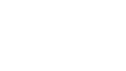 steve_madden logo